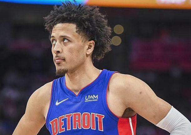 蓝黑军团的 蓝黑军团的